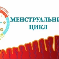 Все, що необхідно знати про менструацію та менструальний цикл